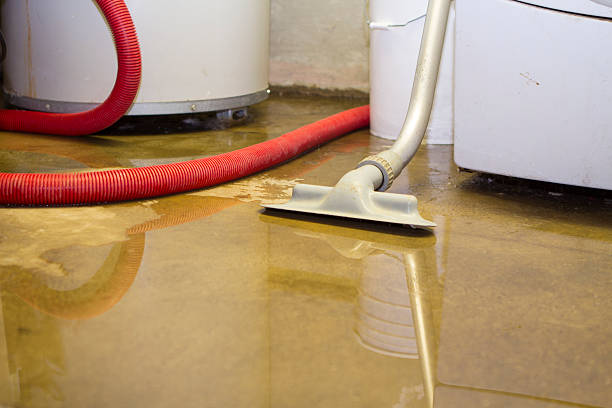Best Residential water damage restoration  in Paramount, CA