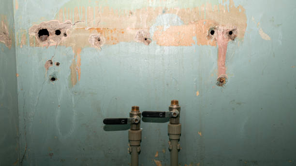 Best Fire Damage Restoration  in Paramount, CA