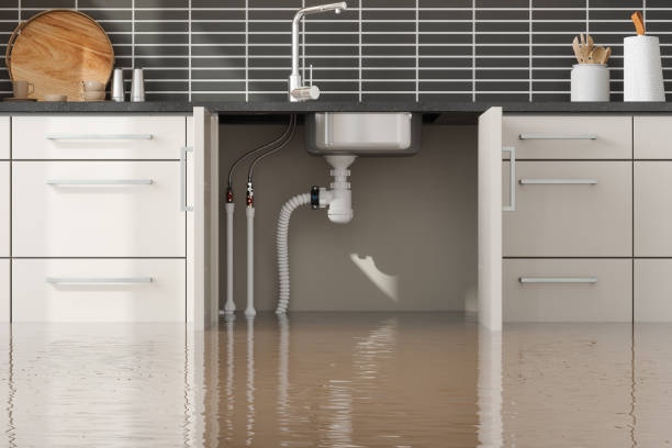 Best 24-hour water damage restoration  in Paramount, CA