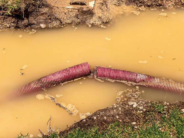 Best Water damage restoration near me  in Paramount, CA