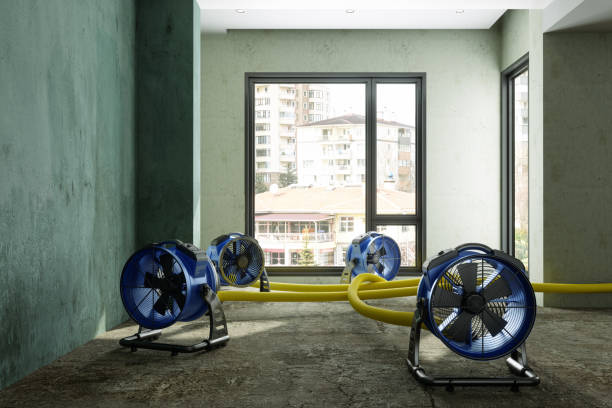 Best Commercial water damage restoration  in Paramount, CA